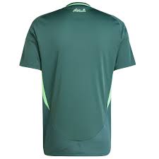 Maillot Algérie extérieur 2025